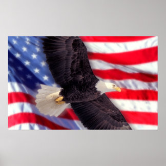 Póster Águia Americana com Bandeira Americana
