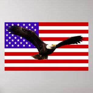 Poster Águia americana EUA da bandeira de América