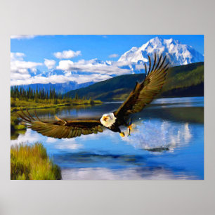 Poster Águia americana que pesca Denali 24" x 18" papel
