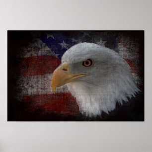 Poster Águia Balda Americana na Bandeira