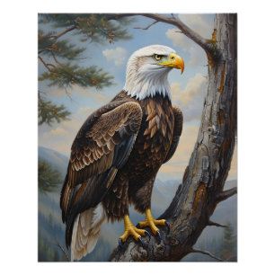 Póster Águia Balda Empoleirada Numa Arte De Pintura De Ól