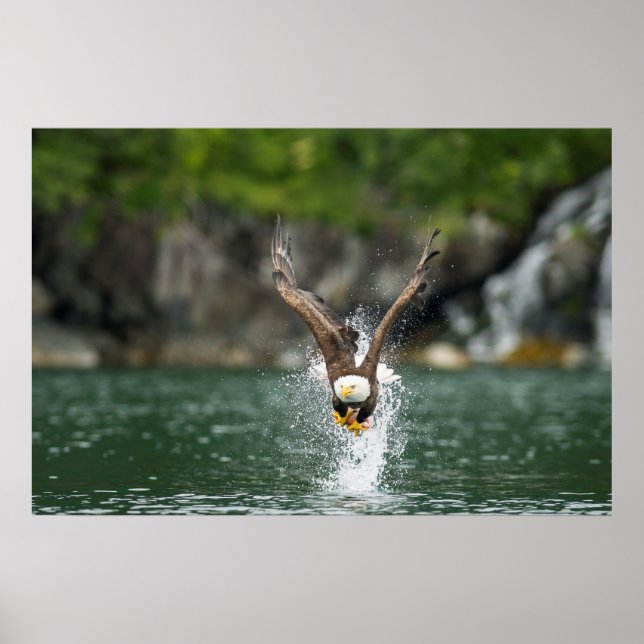 Poster Águia Balda O Grande Captura (Frente)