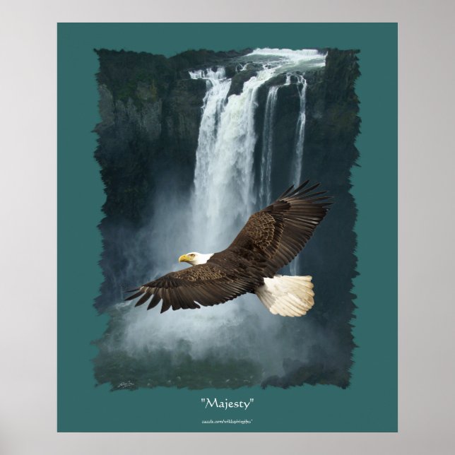 Póster Águia Balda & Snoqualmie Waterfall Natureza (Frente)