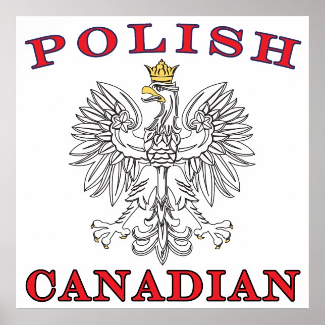 Póster Águia Branca Polonesa Canadiana (Frente)