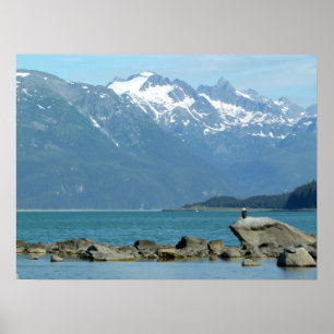 Poster Águia-careca em Skagway Alasca