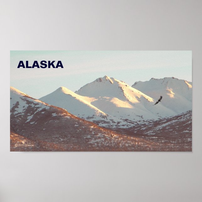 Poster águia-de-inverno (Frente)