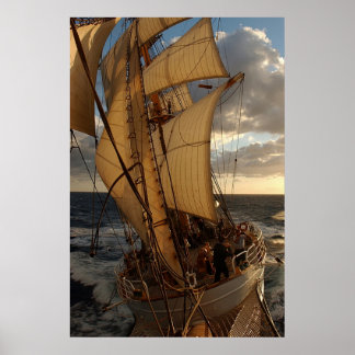 Póster Águia do Mar