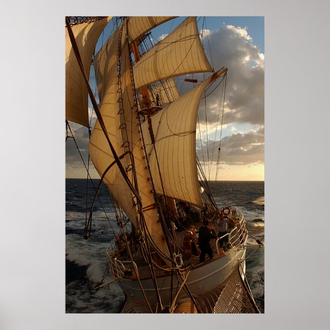 Póster Águia do Mar (Frente)