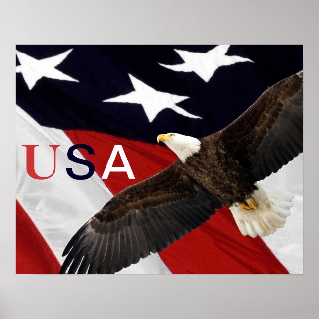 Poster Águia e Bandeira Americana EUA (Frente)