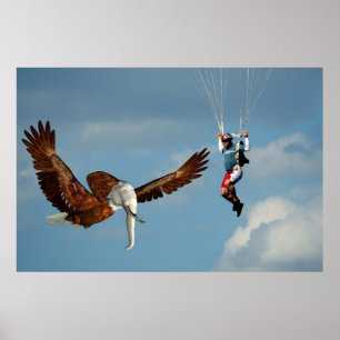 Poster Águia Elefante Elegante