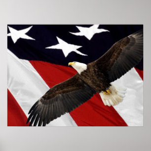 Poster Águia Em Voo Sobre Bandeira Americana