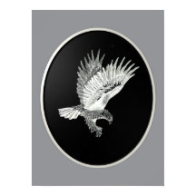 Águia Noturna
