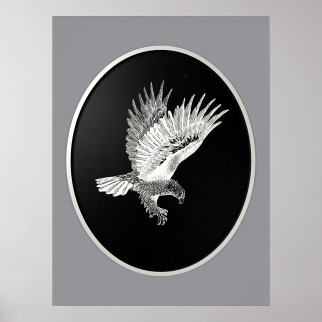 Poster Águia Noturna  (Frente)