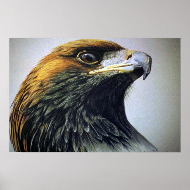 Poster Águia ouro (Frente)