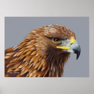 Póster Águia ouro
