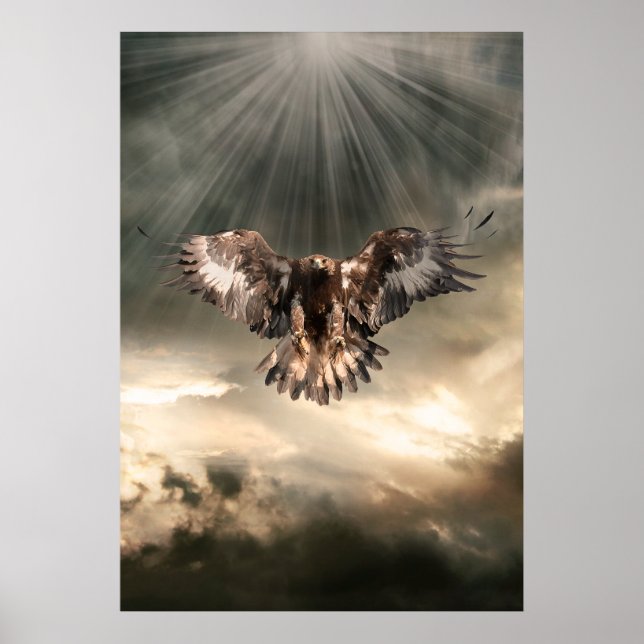 Póster Águia ouro (Frente)