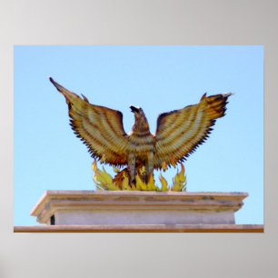 Póster Águia ouro mexicana