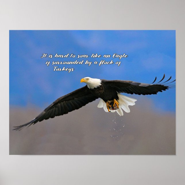 Poster Águia Soar e Perus (Frente)