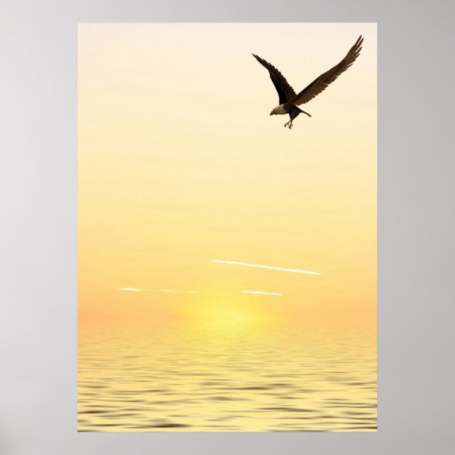 Poster Águia Voadora (Frente)