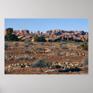 Poster Agulhas do Pothole Point Trail em Canyonlands