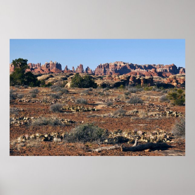 Poster Agulhas do Pothole Point Trail em Canyonlands (Frente)