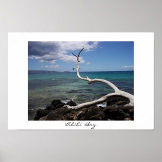 Póster Ahihi Bay