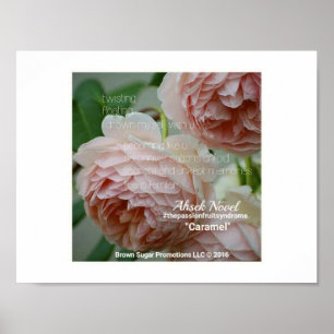 Póster Ahsek Novel Caramel Poem por Ahsek Novel