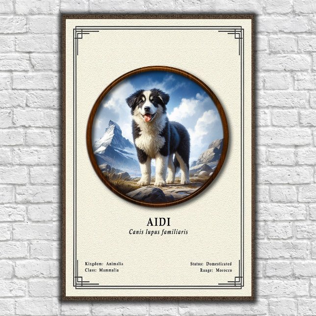 Poster Aidi Zoology Series (Criador carregado)