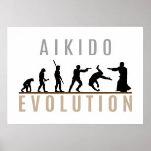 Póster Aikido Evolution