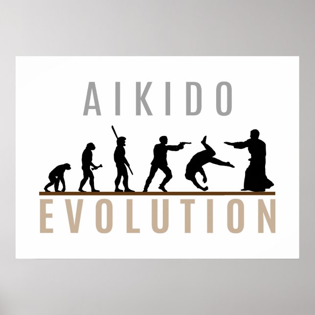 Póster Aikido Evolution (Frente)