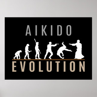 Póster Aikido Evolution