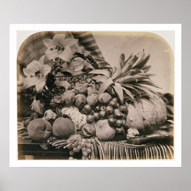Poster Ainda com Fruta, 1860 (foto sepia) (Frente)