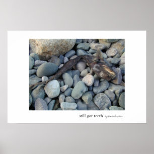 Poster Ainda tenho dentes