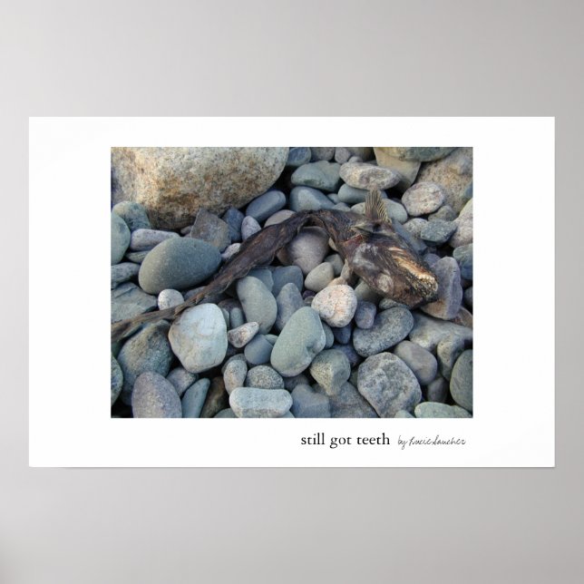 Poster Ainda tenho dentes (Frente)