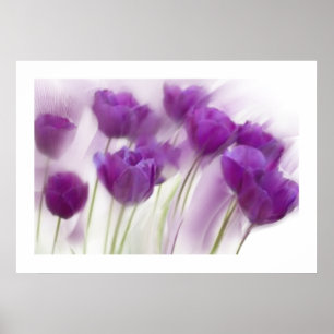 Póster Ainda vida em canvas