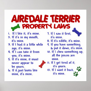 PÓSTER AIREDALE TERRIER PL2