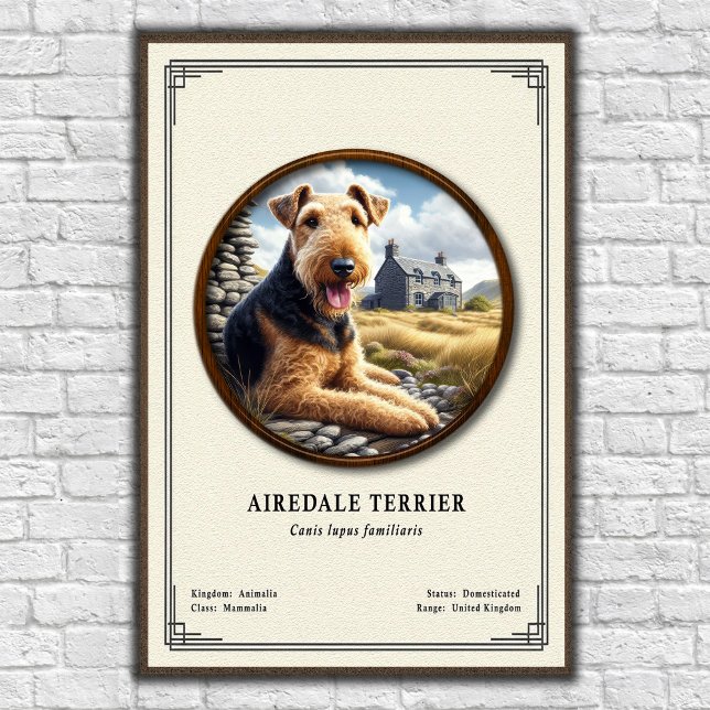 Poster Airedale Terrier Zoology Series (Criador carregado)