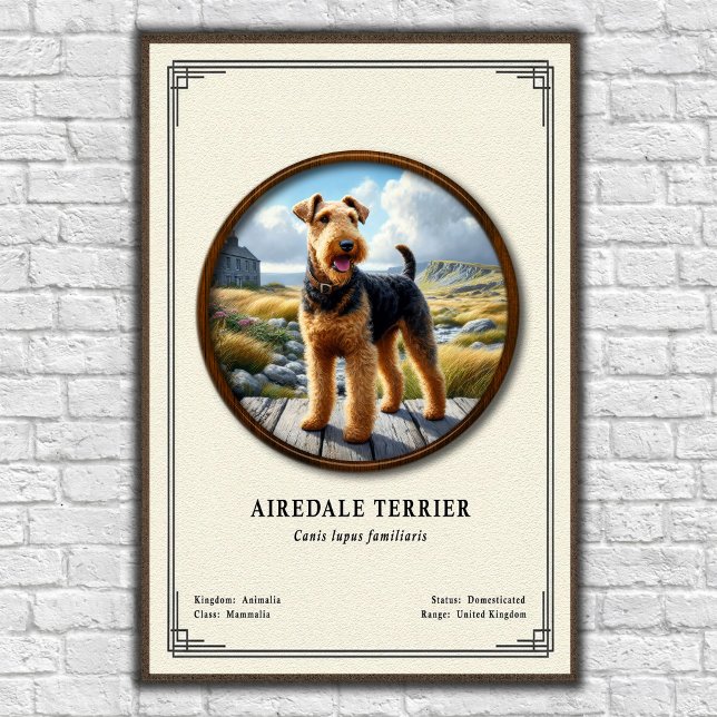 Poster Airedale Terrier Zoology Series (Criador carregado)