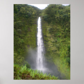 Póster Akaka Falls Hilo, Havaí