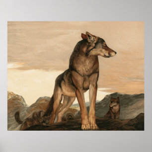 Poster Akela O Lobo Solitário de Maurice e Edward Detmol