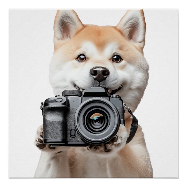 Póster Akita (Frente)