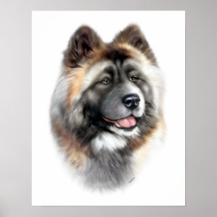 Póster Akita