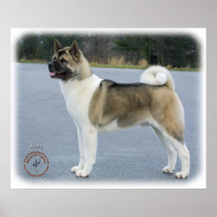 Póster Akita 8P004D-12
