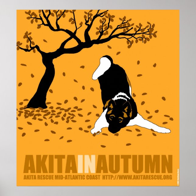 Poster Akita no outono (24" x 26") (Frente)