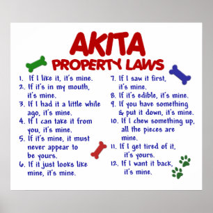 PÓSTER AKITA PL2