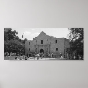 Póster Alamo