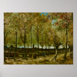 Poster Álamos de Van Gogh perto de Nuenen Paisagem