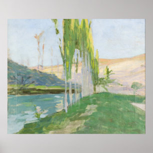 Poster Álamos que crescem perto de um Watercourse