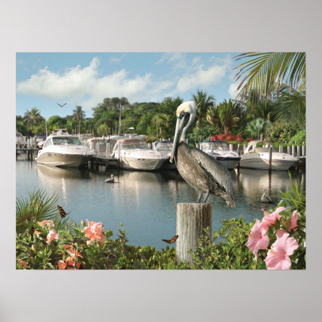 Poster Alan Giana "Pelican Cove" (Frente)