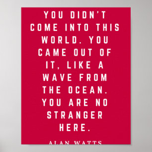 Poster Alan Watts Você Não Entrou Neste Mundo Que Você Ve